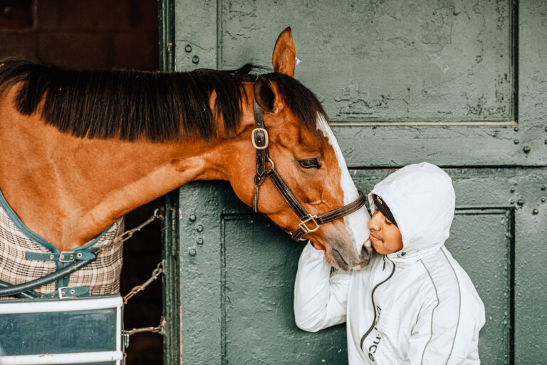 Mutual love. A race horse loves on a groom.